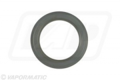 Dichtring